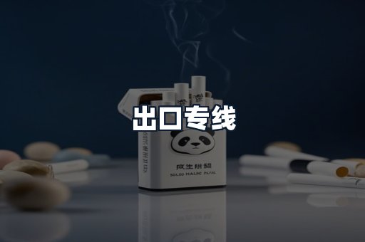 出口专线